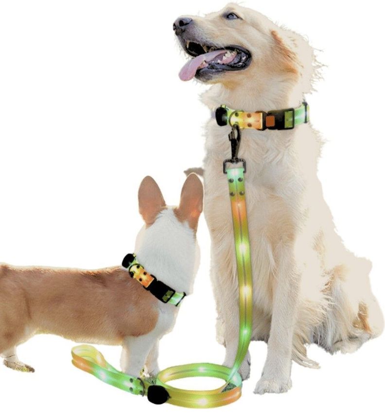 Correa + Collar Con Luces LED Impermeable-1
