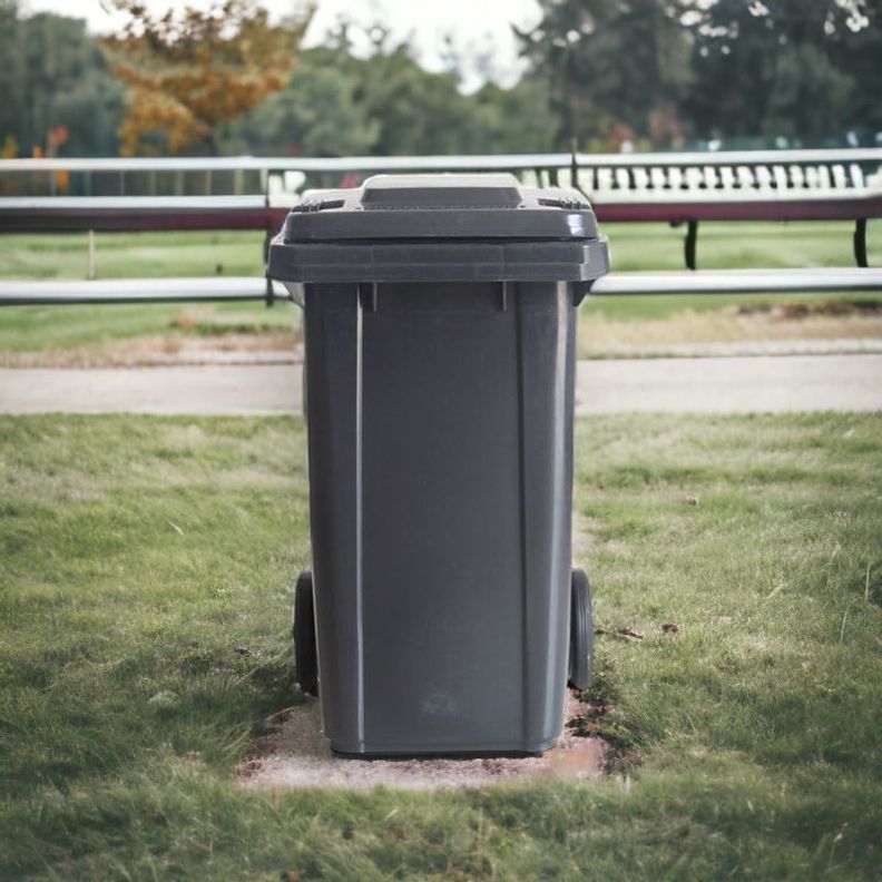 Contenedor Cubo Basurero Grande Con Tapa y Ruedas 120L-2