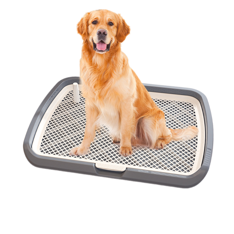 Baño Inodoro De Entrenamiento Para Perros Con Pilar Urinario-6