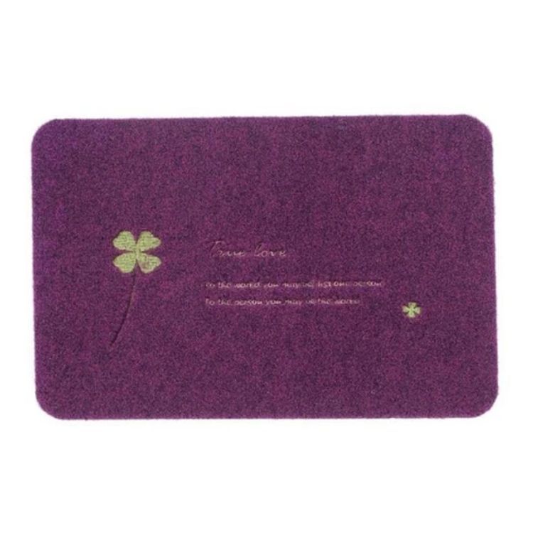 Pack 24 Alfombras De Piso Limpiapiés 50x80 Colores Surtidos-0