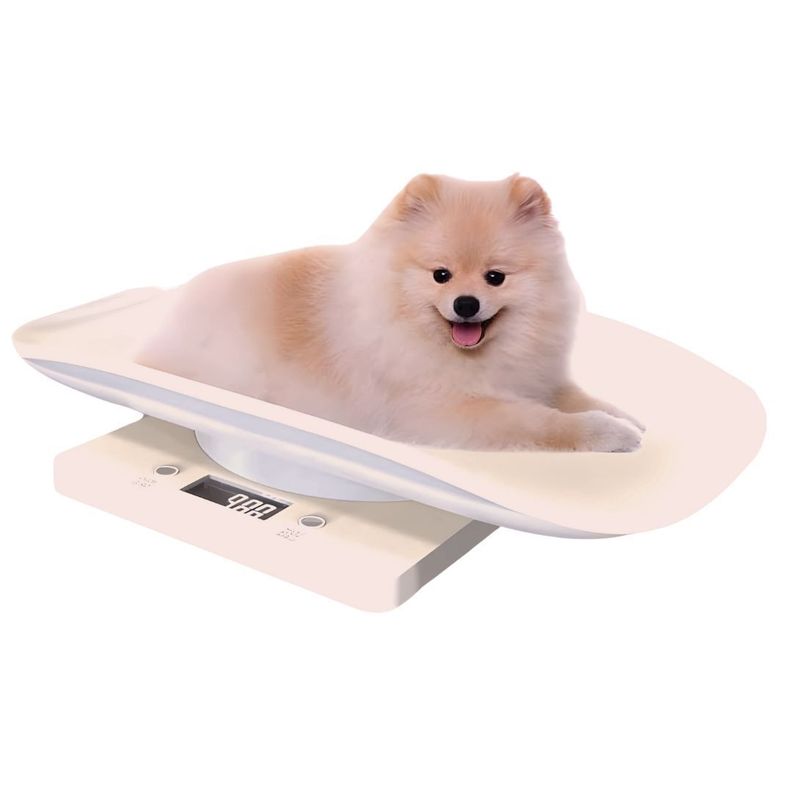 Balanza Bascula Digital Para Mascotas Bebes LCD 10kg-0