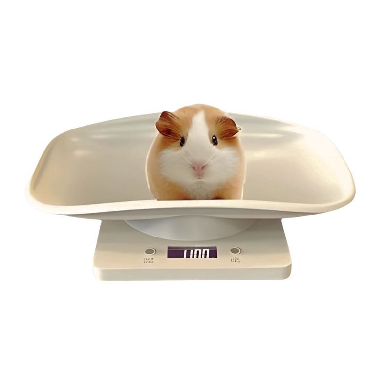 Balanza Bascula Digital Para Mascotas Bebes LCD 10kg-1