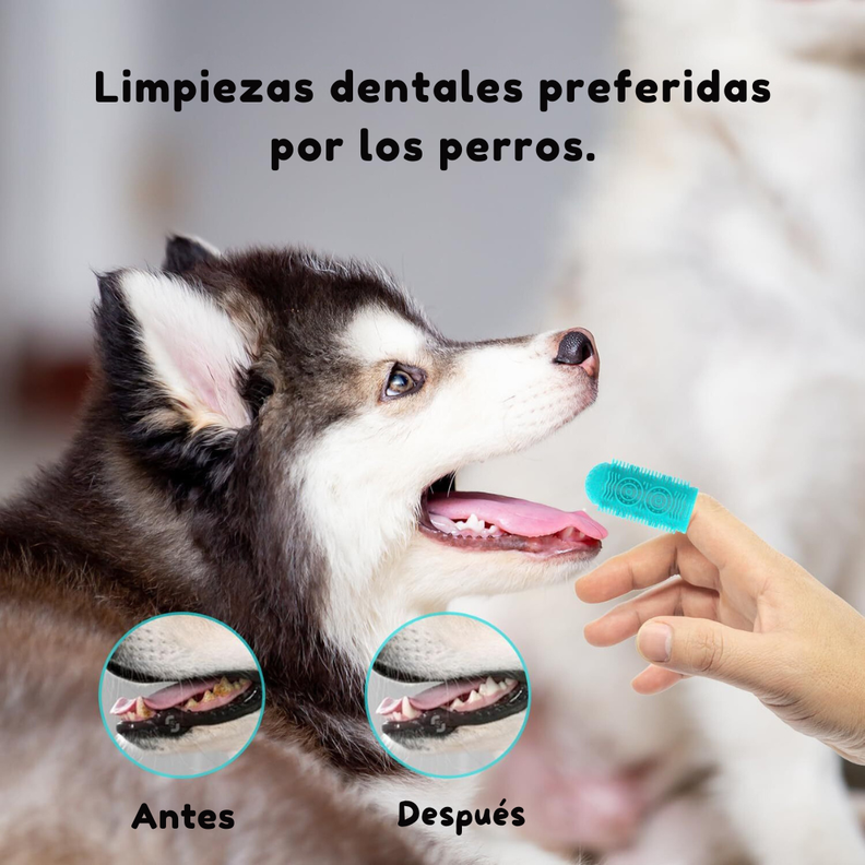 Pack 4 Cepillos Dedal Limpiadientes Para Perros-3