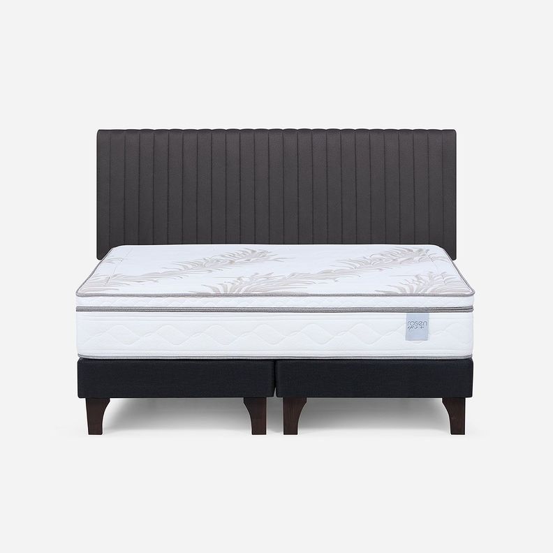 Cama Europea Neo Plus King BD + Respaldo Lucio Grafito-0