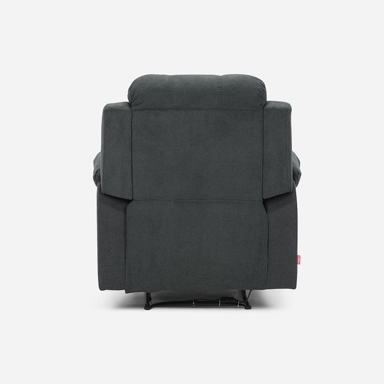 Bergere Rosen Clifton Eléctrico Tela Grafito-5
