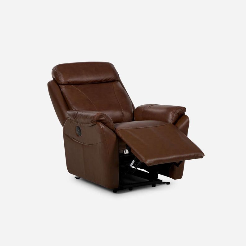 Bergere Rosen Klimt Eléctrico con Alzador Cuero Marrón-1
