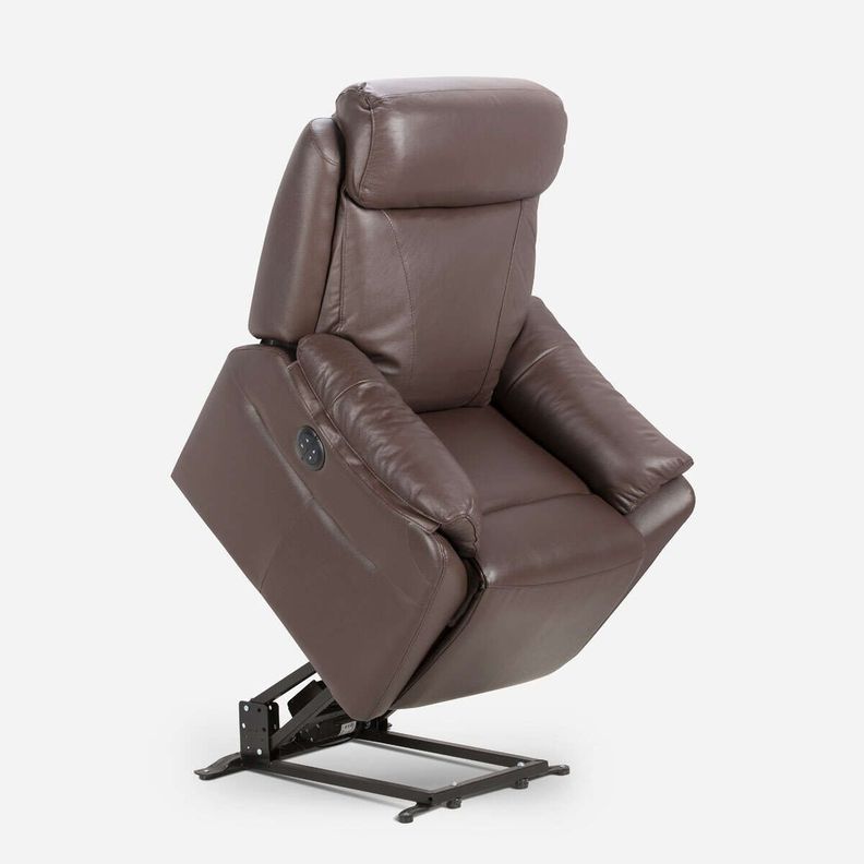 Bergere Rosen Klimt Eléctrico con Alzador Cuero Café-0