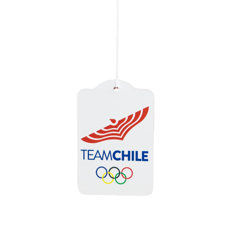 Colgante Automóvil Team Chile y Dupu-1