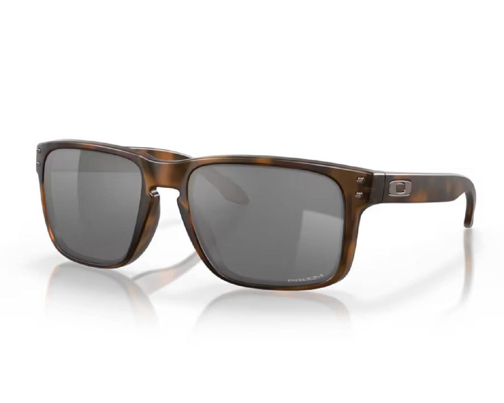 Lentes Oakley Holbrook Prizm Black-0