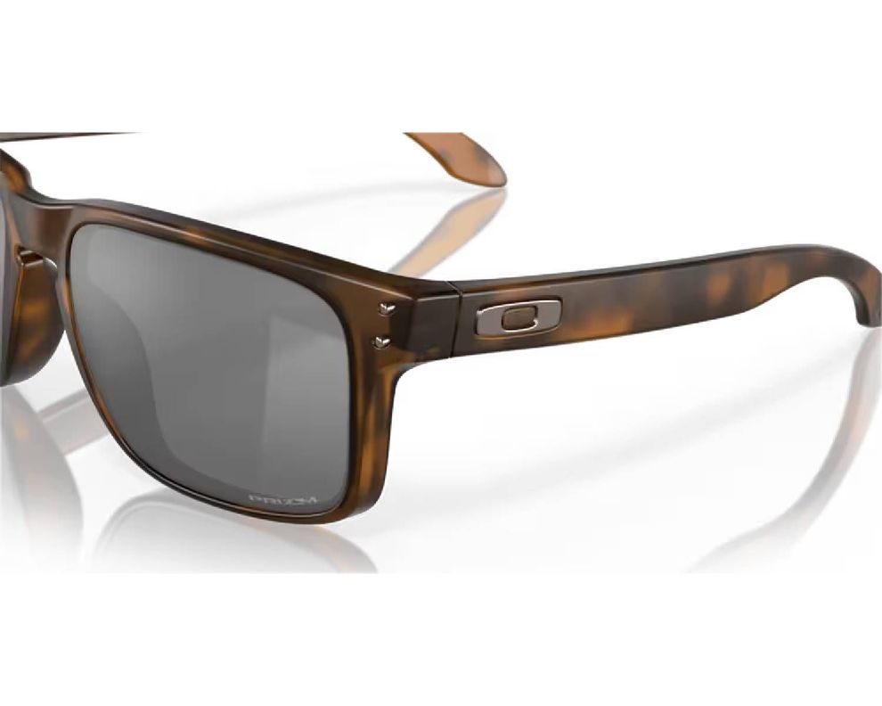 Lentes Oakley Holbrook Prizm Black-5