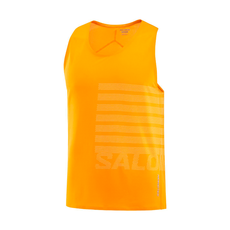 Polera Hombre Sense Aero Singlet Gfx Na Salomon-0