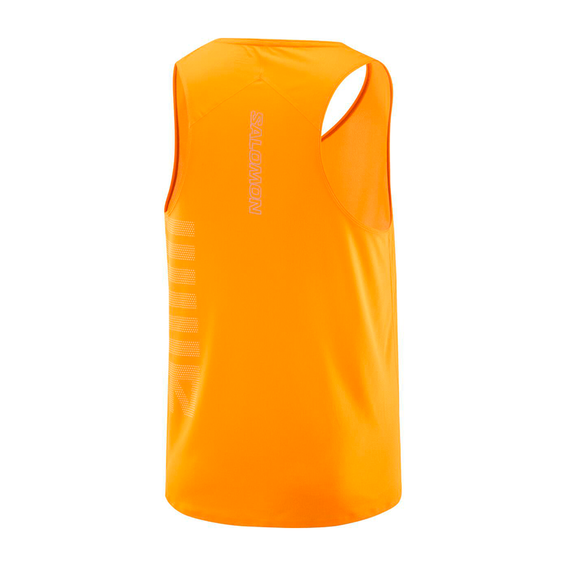 Polera Hombre Sense Aero Singlet Gfx Na Salomon-2