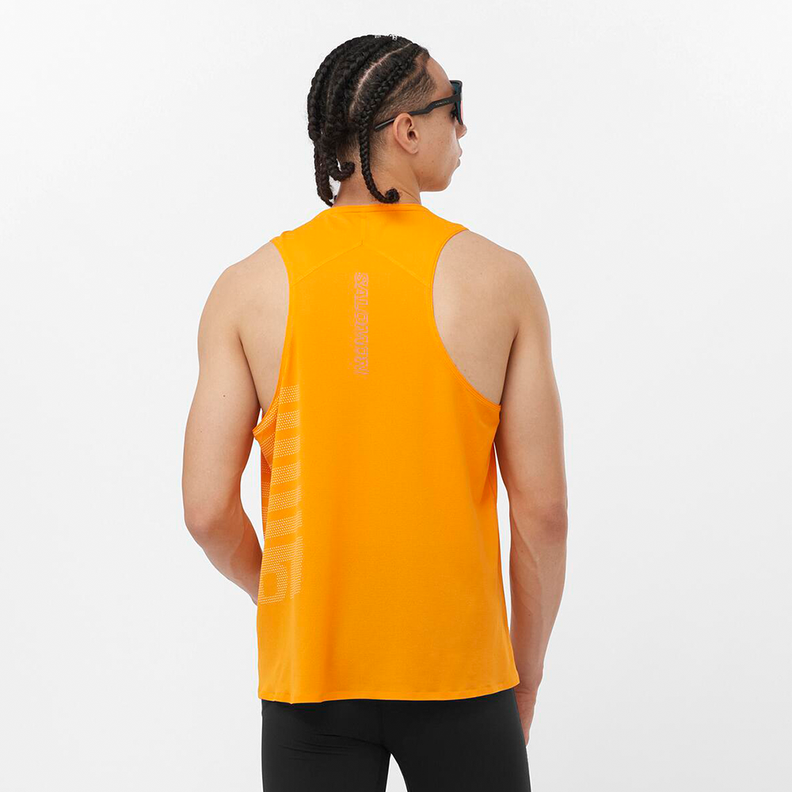 Polera Hombre Sense Aero Singlet Gfx Na Salomon-3