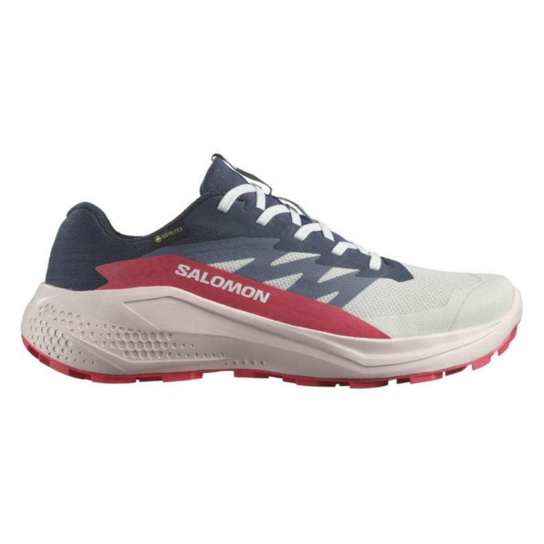 Zapatilla Mujer Alphaglide Gtx W Az Salomon-0