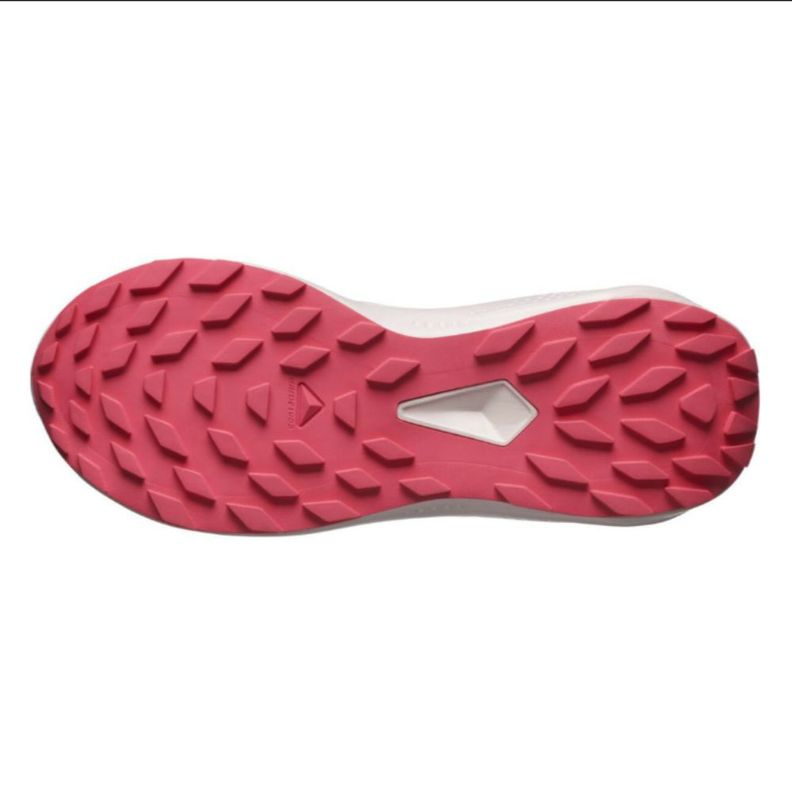 Zapatilla Mujer Alphaglide Gtx W Az Salomon-5