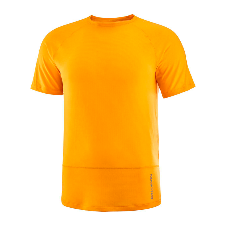 Polera Hombre Cross Run Ss Tee M Na Salomon-0