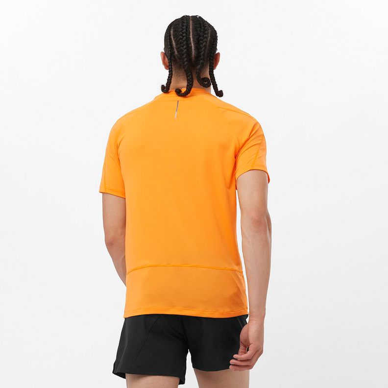 Polera Hombre Cross Run Ss Tee M Na Salomon-2