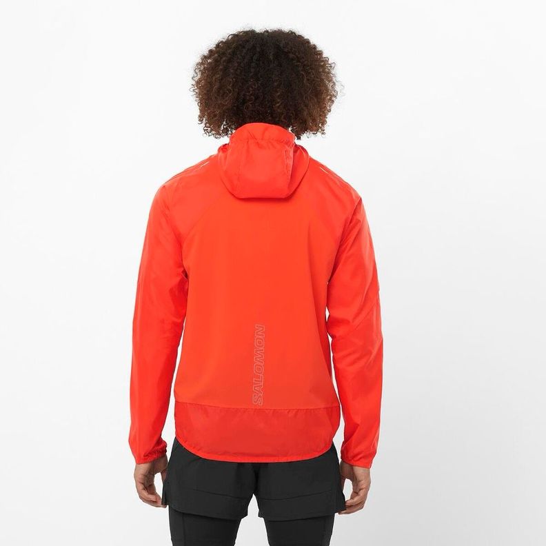 Chaqueta Hombre Bonatti Cross Fz Ro Salomon-5