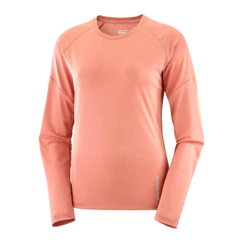 Polera Mujer Cross Run Ls Tee W Sa Salomon-0