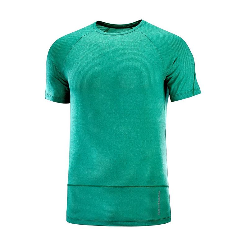 Polera Cross Run Ss Tee M Hombre Salomon-0