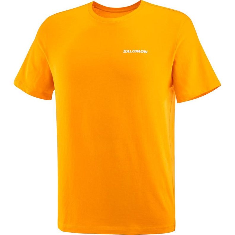 Polera Hombre Graphic Perf Ss Tee M Na Salomon-0