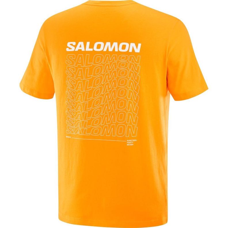Polera Hombre Graphic Perf Ss Tee M Na Salomon-1