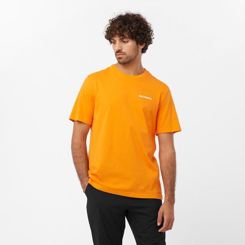 Polera Hombre Graphic Perf Ss Tee M Na Salomon-2