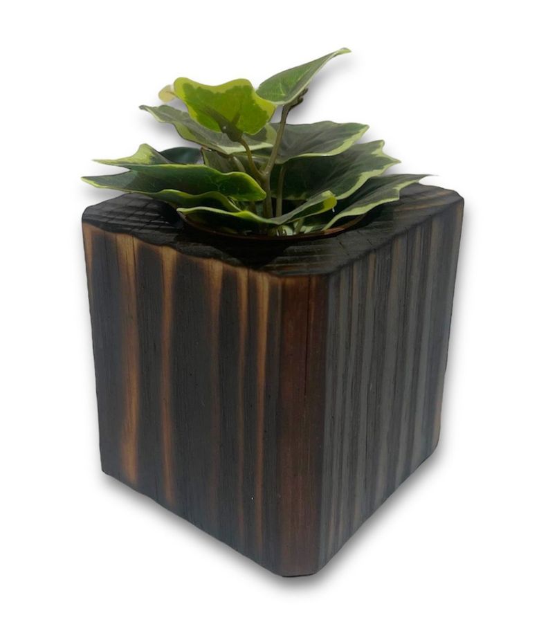 Macetero en madera quemada para suculenta modelo cubo-0