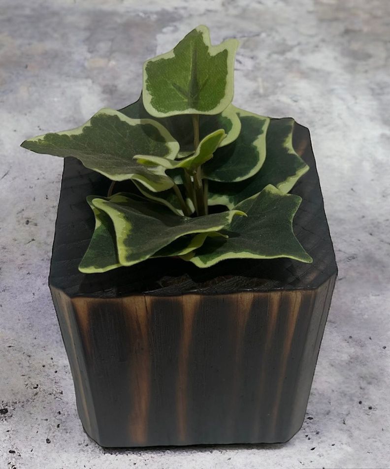 Macetero en madera quemada para suculenta modelo cubo-1
