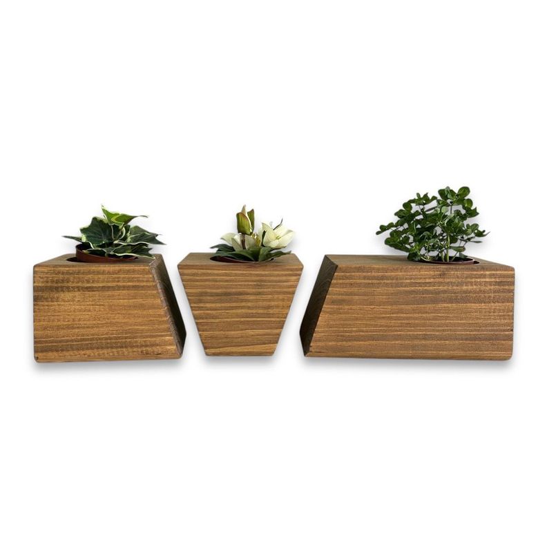 Porta macetero lingot3 de madera para suculentas color nogal-1