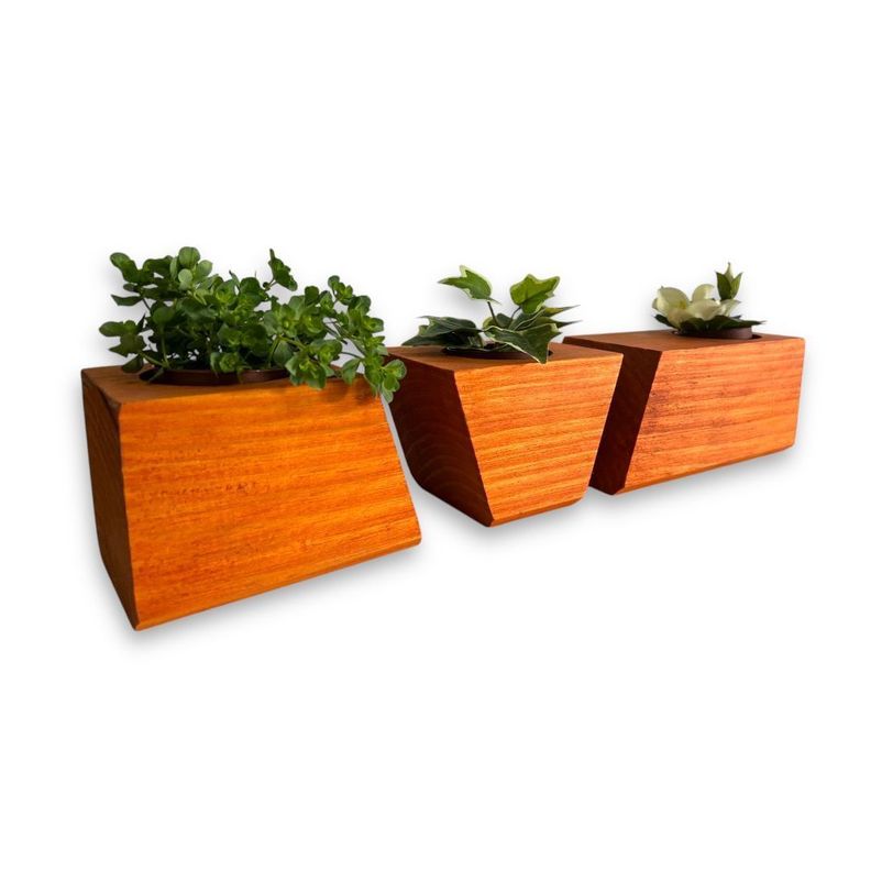 Porta macetero lingot3 de madera para suculentas color alerce-2