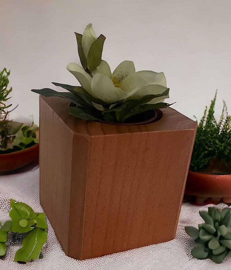 Macetero de madera para suculenta modelo cubo-1