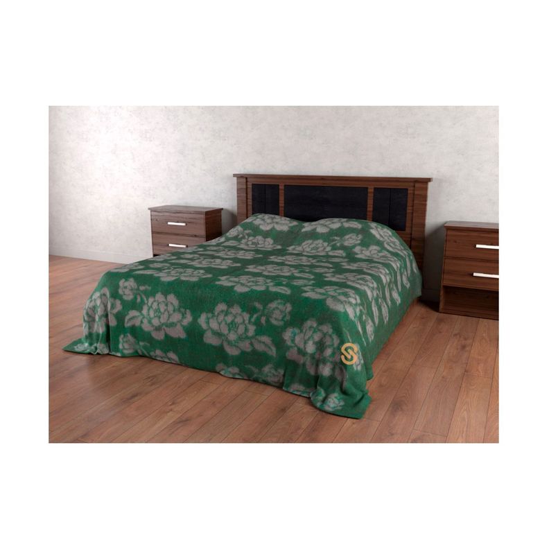 Frazadas Campo Lindo Diseños Surtidos 2 Plazas - Shopyclick-2
