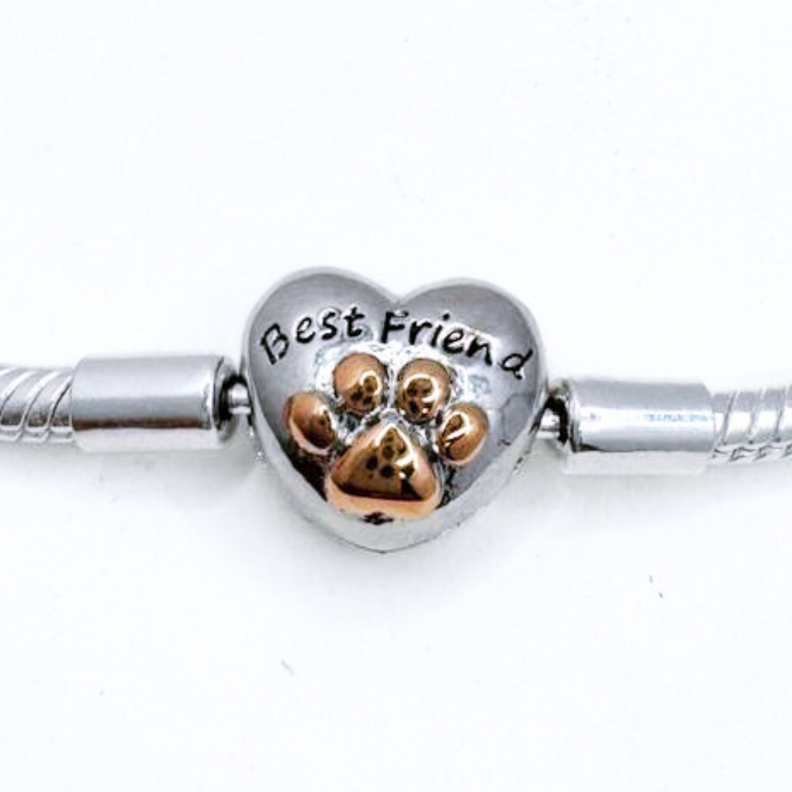 Pulsera Charms Best Friends con Cierre de Mascota en Plata 925-3