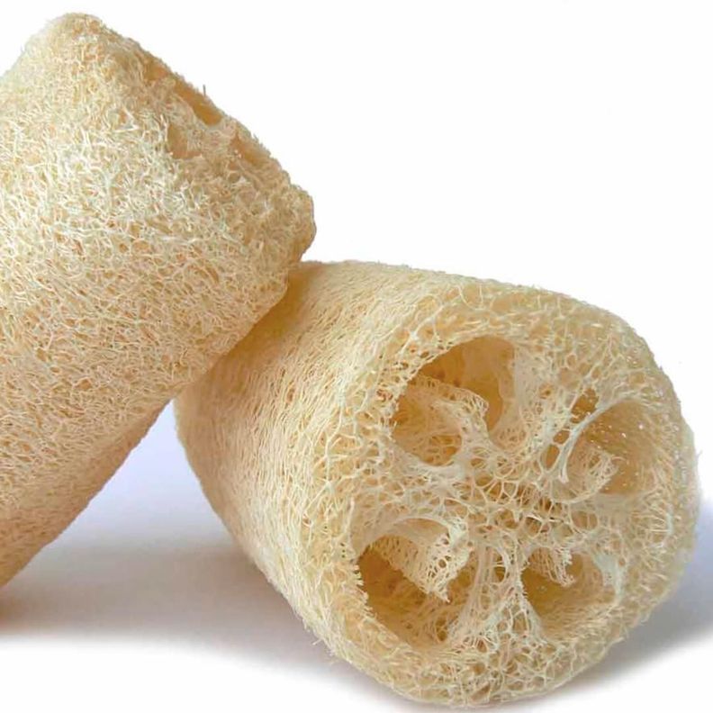Luffa 30 Cm - Esponja Orgánica Natural.-1