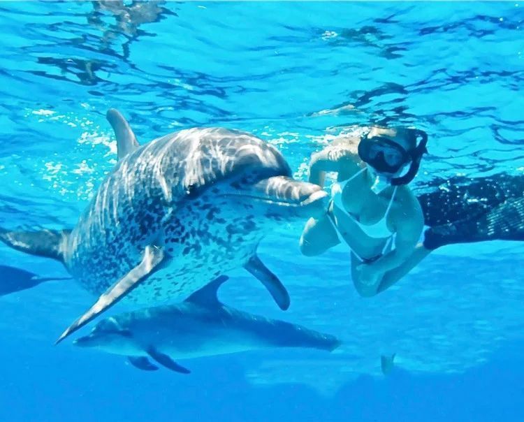 Snorkel + Tubo para cámaras deportivas Azul-1