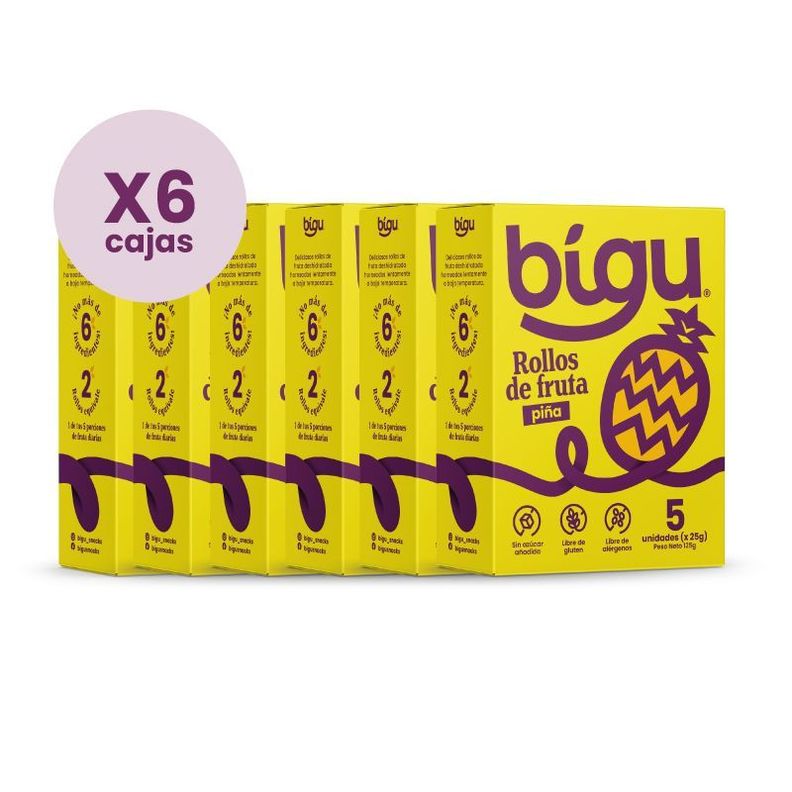 PACK x6 PIÑA DESHIDRATADA 125g-0