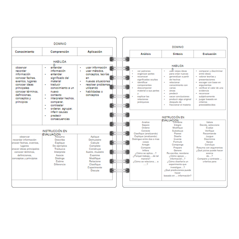 Agenda docente profesora Anual Papelería Personalizada 15-1