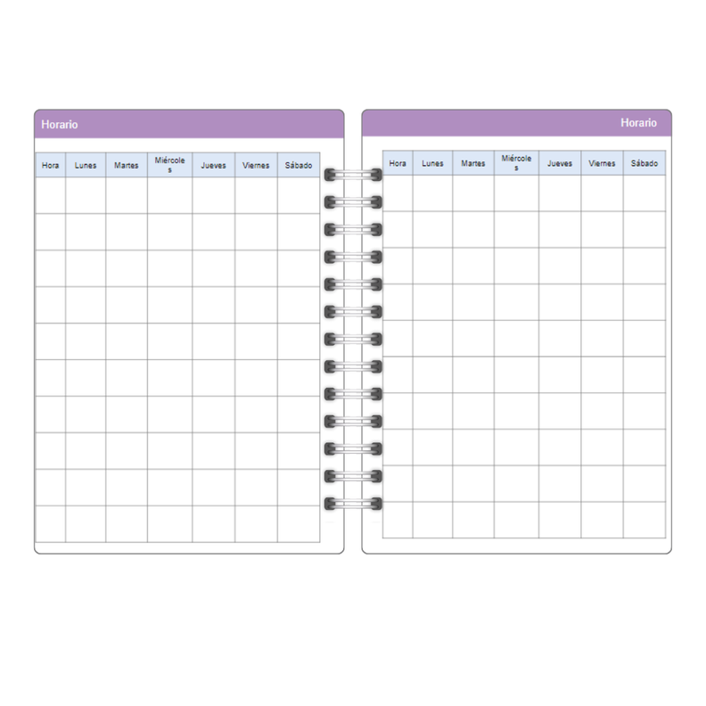 Agenda docente profesora Anual Papelería Personalizada 15-3