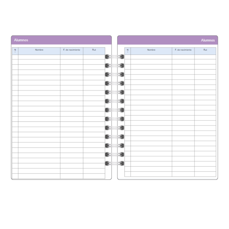 Agenda docente profesora Anual Papelería Personalizada 15-6