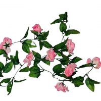 Enredadera 2 Metros de flores Rosada-0