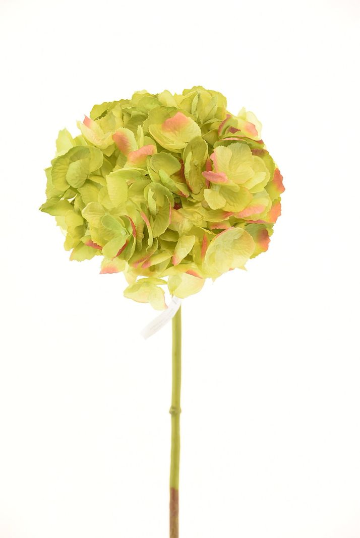 Hortensia Verde Oscuro 50cm Artificial | Estilo Natural para Interiores y Vitrinas
