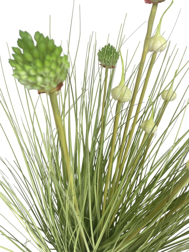 Planta Decorativa Pasto Cebolla Florencia/Verde 71Cm-2