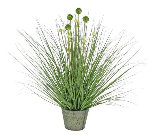 Planta Decorativa Pasto Cebolla Florencia/Verde 71Cm-0