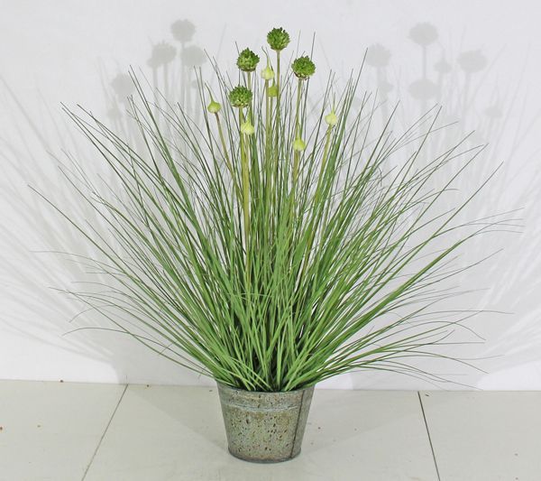 Planta Decorativa Pasto Cebolla Florencia/Verde 71Cm-1