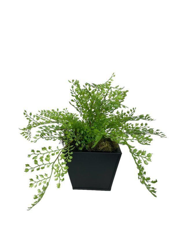 Arreglo De Helecho Adiantum 35cm Artificial | Estilo Natural para Interiores y Vitrinas Verde