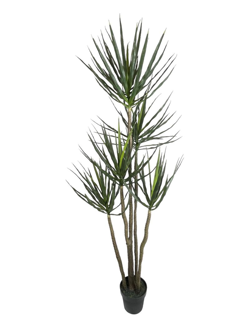 Arbol Artificial de Yuca 183cm Artificial | Estilo Natural para Interiores y Vitrinas Verde