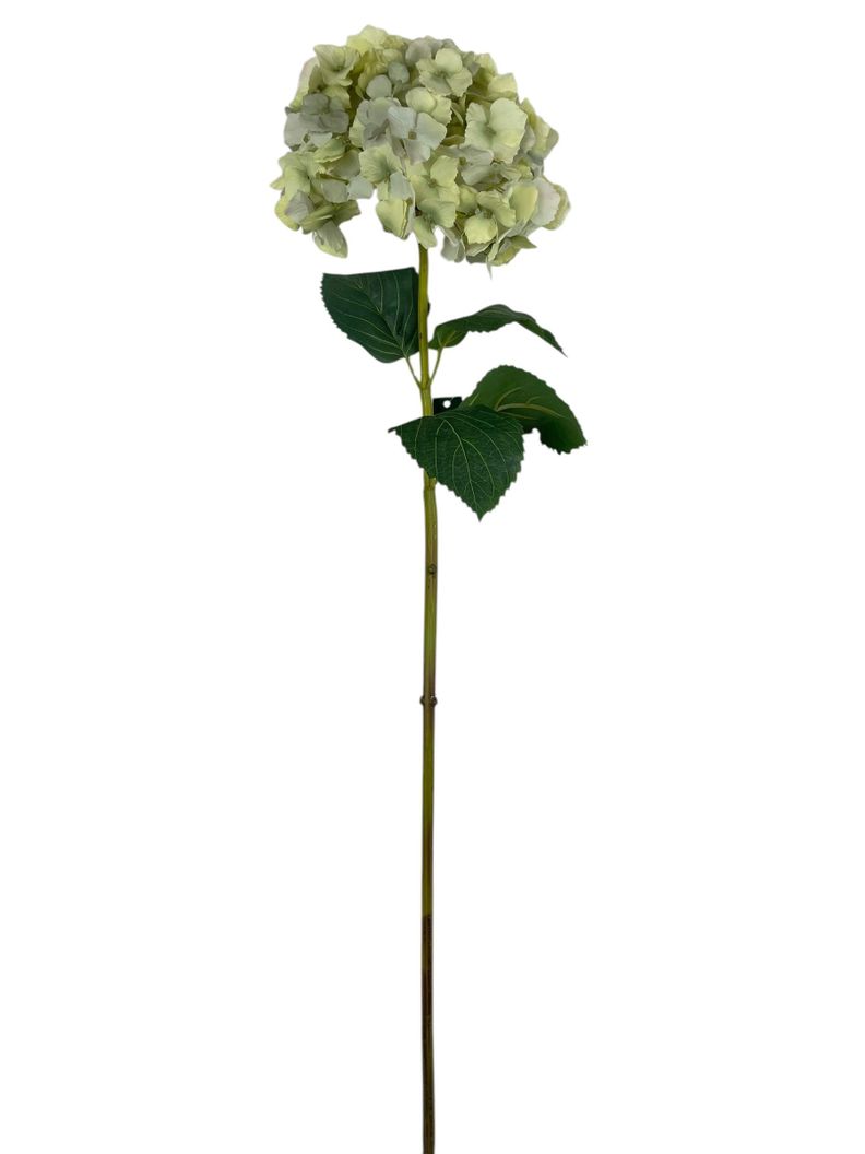 Hortensia Blanca Celeste Con Hojas 82cm Blanco
