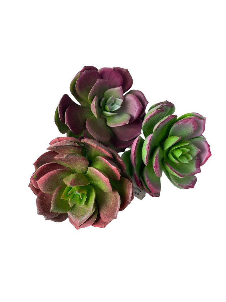 Cactus Decorativo Corel Suculenta Verde - Burdeo 12cm-2