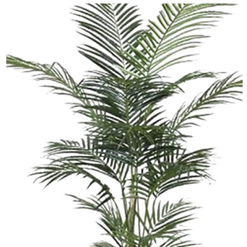Planta Decorativa Palmera Areca 150Cm-0